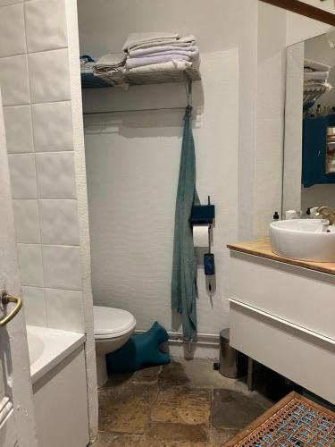 une salle de bain avec toilettes et lavabo dans l'établissement Suite Panthéon-Hôtel Particulier Historique du 17e, à Paris