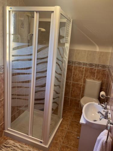 a bathroom with a shower and a sink and a toilet at Lattone House in Belcoo