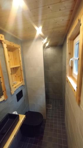 a small bathroom with a toilet and a sink at Põllu talu puhkemajake in Saaremaa