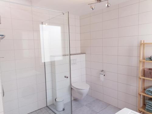 a bathroom with a toilet and a glass shower at FeWo Pablo in Bannberscheid