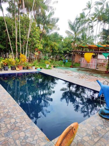 a swimming pool with a fish statue next to it at Pousada Lua e Mar in Belém