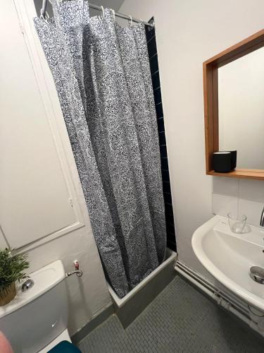 une salle de bain avec un rideau de douche et un lavabo dans l'établissement Studio lumineux Paris 20, à Paris