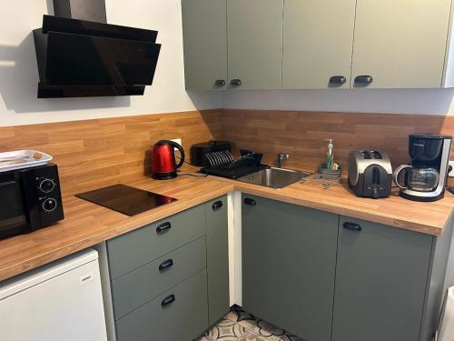 un comptoir de cuisine avec un évier et un micro-ondes dans l'établissement Charmant Rez-de-Jardin Tout Confort avec Parking, Calme Assuré, à Lempdes