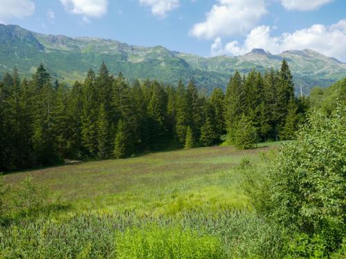 a field with trees and mountains in the background at Holiday Home Rustico Carcarida by Interhome in Campo Blenio