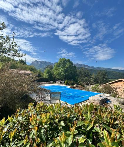 une grande piscine avec de l'eau bleue dans un jardin dans l'établissement La maison de Camille, à Saillans