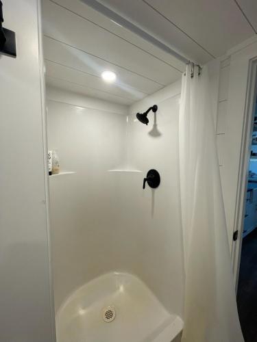 a bathroom with a shower and a sink at Tiny Home Getaway in Bella Vista