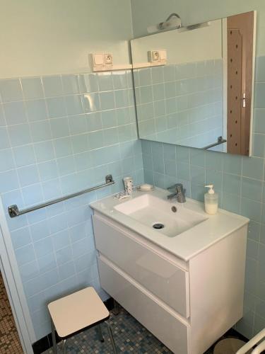 une salle de bain avec un lavabo et un miroir dans l'établissement Appartement à Capbreton en bordure de forêt, à Capbreton