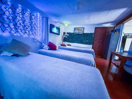 Postel nebo postele na pokoji v ubytování Posada Temazcal Santo Domingo