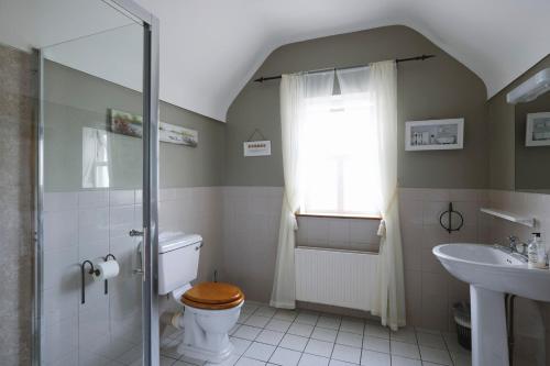 a bathroom with a shower and a toilet and a sink at Doolin Eye Dunroman in Doolin