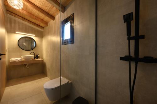 a bathroom with a toilet and a sink at Olive Trees Villas in Episkopianá