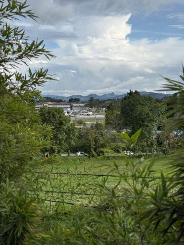 a view of a city from a field with trees at Cabaña del bosque in Rionegro