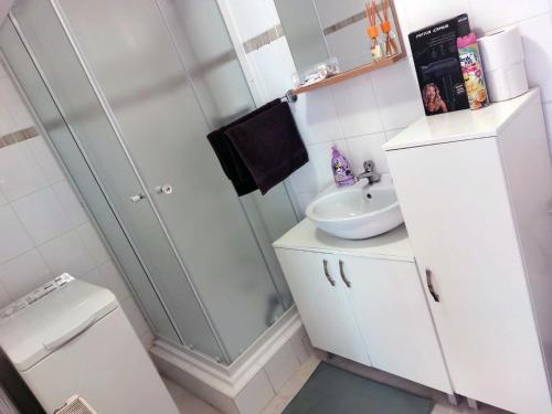 a bathroom with a sink and a shower and a toilet at Ubytování Teplice in Teplice