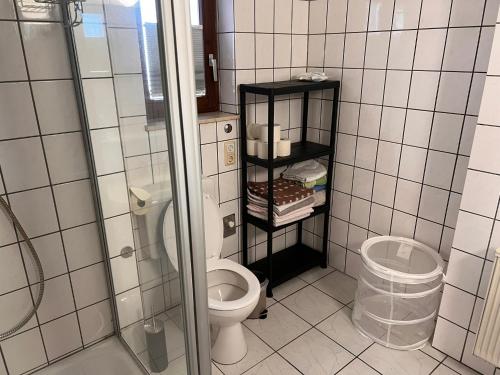 a bathroom with a toilet and a glass shower at Ferienwohnungen Im Hirschgrund in Frohnhausen