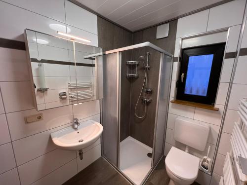 a bathroom with a shower and a toilet and a sink at Ferienwohnungen Im Hirschgrund in Frohnhausen