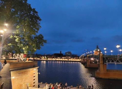 a bridge over a river with people walking on the sidewalk at Appartement Saint-Pierre TOULOUSE hyper centre ville in Toulouse