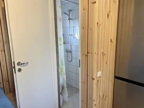 a bathroom with a shower and a door open at Marika Puhkeküla - Metsanurga Järvemaja in Nõva