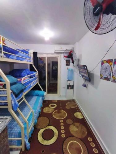 a room with bunk beds and a rug on the floor at استوديو مفروش ومكيف في راس سدر -بحر رملي وحمام سباحة- للعائلات الصغيرة فقط in Ras Sedr