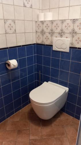 a bathroom with a toilet in a blue tiled wall at Penzion Ztracený mlýn in Slapy
