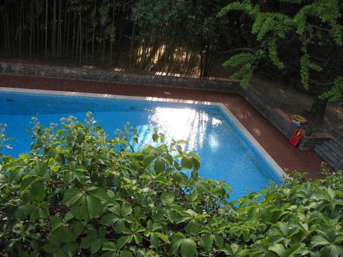 a swimming pool in a yard with plants at Villa La Nussa in Capolona