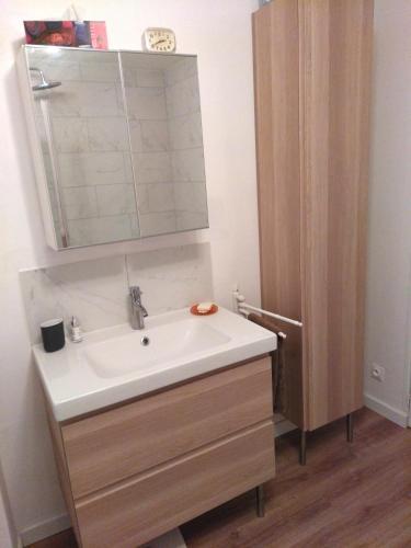 a bathroom with a sink and a mirror at Chambre d'hôte triple, au calme dans la campagne des Weppes in Fournes-en-Weppes