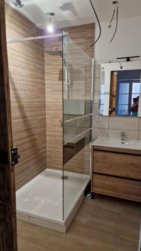 une salle de bain avec douche et lavabo dans l'établissement l'appart, à Thiers