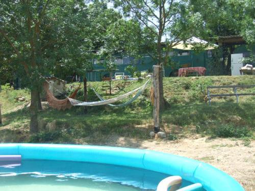 une piscine avec un hamac et une clôture avec des vaches dans l'établissement Hébergements bohêmes pleine nature, à Gignac