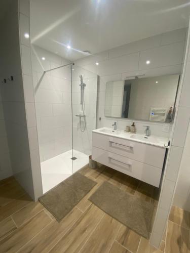 une salle de bain avec une douche, un lavabo et un miroir dans l'établissement maison de village, à Abrest