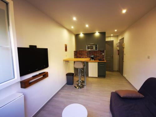 Il comprend un salon avec une télévision et une cuisine avec un comptoir. dans l'établissement Cozy Studio in Juan les Pins 700m from Beach, à Antibes