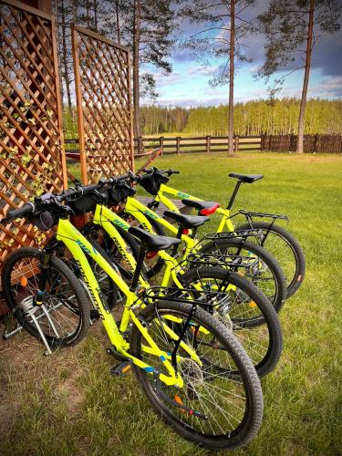 a group of bikes parked next to a fence at Hankówka Mazury in Jerutki