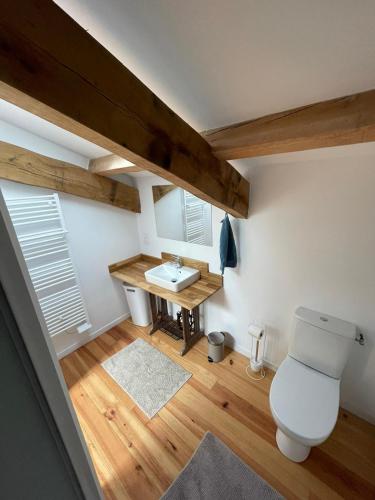 an attic bathroom with a toilet and a sink at Charmante maison typique des Landes in Linxe