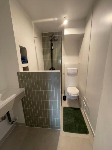 une petite salle de bain avec toilettes et douche dans l'établissement T2 à deux pas de la plage, au Cap d'Agde