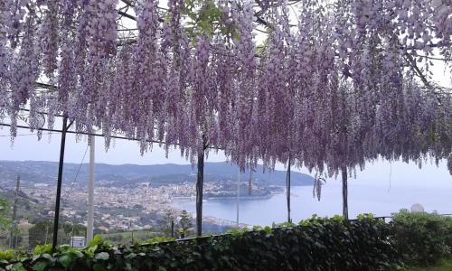 La Roccia – Photos 3