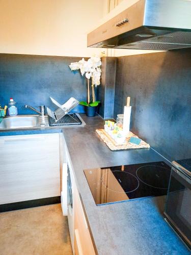 une cuisine avec un évier et un plan de travail dans l'établissement JOLI STUDIO AVEC PARKING ET NETFLIX - Proche du palais des exposition, du stade de Beaublanc et du Zenith, à Limoges