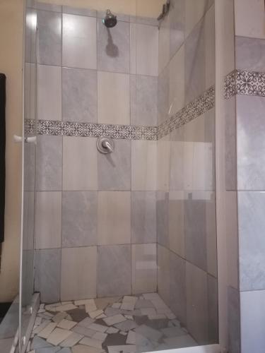 a shower with a glass door in a bathroom at Valley Center Guest House in Johannesburg