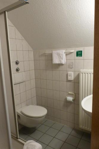 a bathroom with a toilet and a sink at Gasthof Garni Knupfer in Ehingen