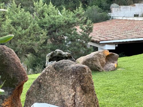a couple of large rocks sitting on a grass field at Casa Alessandra, Apartment in Porto Cervo in Porto Cervo