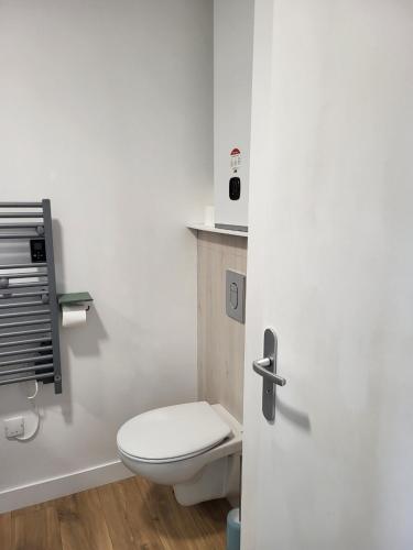 a bathroom with a white toilet in a room at Un Bibou de Campagne 1 in Le Theil-de-Bretagne