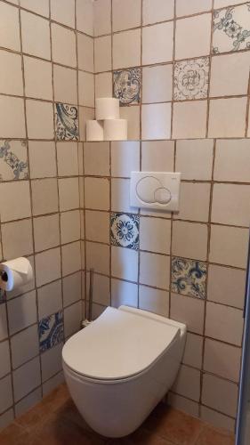 a bathroom with a white toilet in a tiled wall at Penzion Ztracený mlýn in Slapy