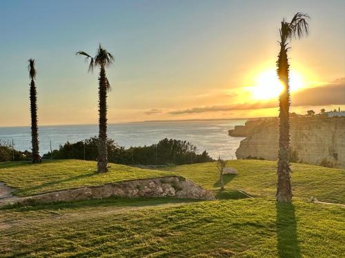 a group of palm trees and the ocean at sunset at Luisela Mar Algarve in Carvoeiro