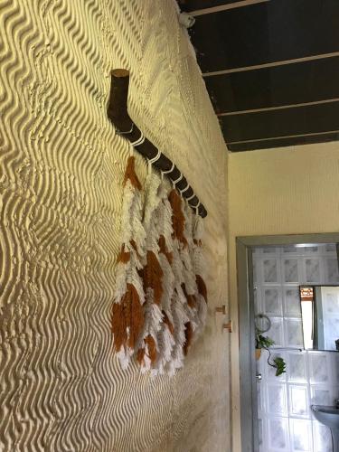 ジャボチカトゥバスにあるChalés Vale Encantado -Serra do Cipó-の蛇が描かれた壁