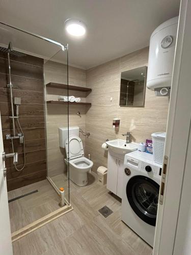 ein Badezimmer mit Toilette, Waschbecken und Waschmaschine in der Unterkunft Apartman Dušan Trebinje in Trebinje
