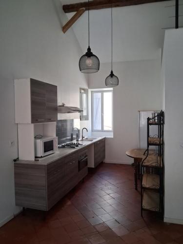 Il comprend une cuisine équipée d'un four micro-ondes et d'une table. dans l'établissement Chez Sylvie, à Carcassonne