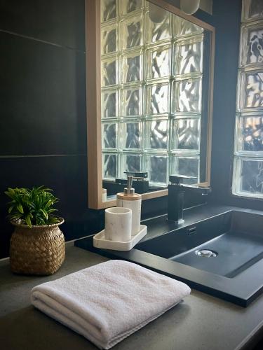 une salle de bain avec un lavabo et une fenêtre et une serviette dans l'établissement Alexander Home with parking, à Colmar