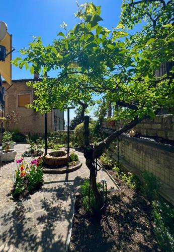 a tree in a garden with a statue at Rustico cota in Tignale