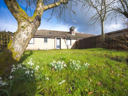 a house in a yard with flowers in the grass at Holiday Home Appletree by Interhome in Muir of Ord