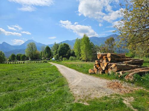 a pile of logs next to a dirt road at Apartment Sommer am Faaker See in Faak am See