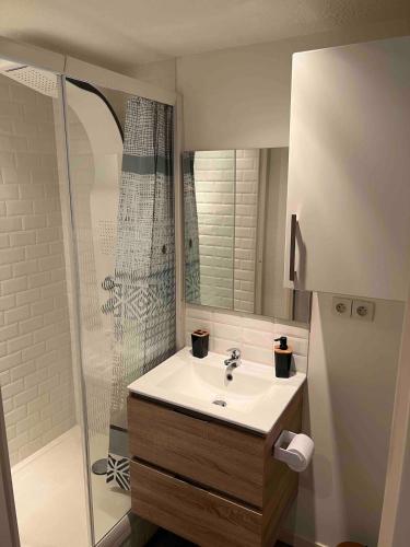 une salle de bain avec un lavabo et une douche dans l'établissement Refuge sur la corniche ! 5 minutes de St-Gilles, à Saint-Hilaire-de-Riez