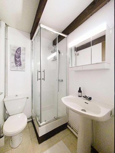une salle de bain avec une douche, des toilettes et un lavabo dans l'établissement Résidence Landaises - Maison tout confort mitoyenne 4 pers, les landaises, à Lacanau Océan MAE-1071, à Lacanau