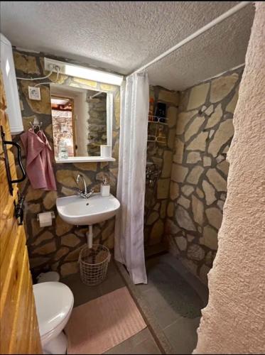 a bathroom with a sink and a toilet and a mirror at House Mala kuca in Oklaj