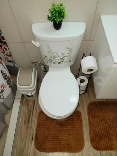 a bathroom with a toilet with a potted plant on it at Dream Island Condo in Buccoo